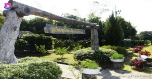 กองบิน ๔๑ จัดกิจกรรมวันต้นไม้ประจำปีของชาติและวันดินโลก ประจำปี ๒๕๖๑