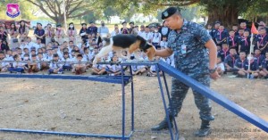 กองบิน ๔๑ จัดกิจกรรมพัฒนาผู้เรียนเข้าค่ายลูกเสือ Day Camp