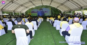 โครงการรวมใจไทยปลูกต้นไม้เพื่อฟื้นฟูและเพิ่มพื้นที่สีเขียว จังหวัดเชียงใหม