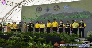โครงการรวมใจไทยปลูกต้นไม้เพื่อฟื้นฟูและเพิ่มพื้นที่สีเขียว จังหวัดเชียงใหม