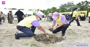 โครงการรวมใจไทยปลูกต้นไม้เพื่อฟื้นฟูและเพิ่มพื้นที่สีเขียว จังหวัดเชียงใหม
