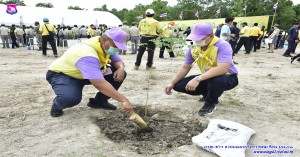 โครงการรวมใจไทยปลูกต้นไม้เพื่อฟื้นฟูและเพิ่มพื้นที่สีเขียว จังหวัดเชียงใหม
