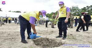 โครงการรวมใจไทยปลูกต้นไม้เพื่อฟื้นฟูและเพิ่มพื้นที่สีเขียว จังหวัดเชียงใหม