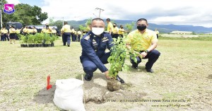 กิจกรรมปลูกต้นไม้เนื่องในโอกาสวันเฉลิมพระชนมพรรษาสมเด็จพระปรเมนทรรามมาธิบดีศรีสินทร มหาวชิราลงกรณ พระวชิรเกล้าเจ้าอยู่หัว